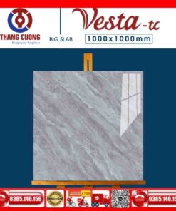 Gạch 100x100 Thắng Cường Vesta-11004