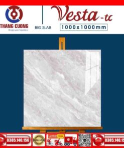 Gạch 100x100 Thắng Cường Vesta-11031 mây xám