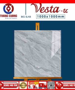Gạch 100x100 Thắng Cường Vesta-11033