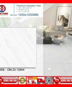 Gạch 120x120 Thắng Cường ONEMAX-OM-2312904