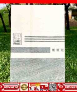 Gạch 40x80 TAKAO-54104-54204-54105