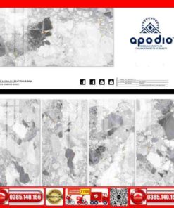 Gạch 60x120 Apodio A61BG801 đá Marbal xám