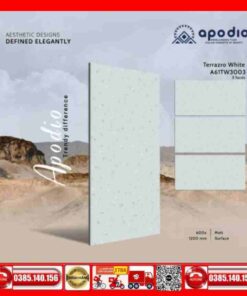 Gạch 60x120 Apodio A61TW3003 Terrazzo xám mờ