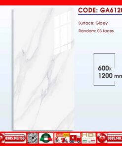 Gạch 60x120 Thắng Cường GA612001