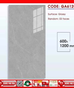 Gạch 60x120 Thắng Cường GA612003