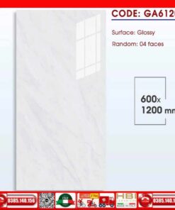 Gạch 60x120 Thắng Cường GA612007