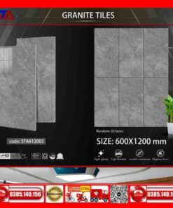 Gạch 60x120 Thắng Cường-STA612003 màu xám
