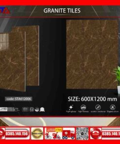 Gạch 60x120 Thắng Cường-STA612006 đá nâu