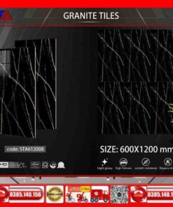 Gạch 60x120 Thắng Cường STA612008 Đen tia chớp xám