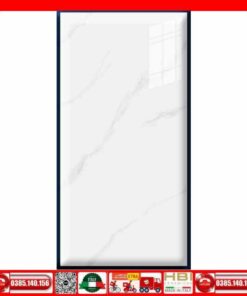 Gạch 60x120 Thắng Cường STA612009