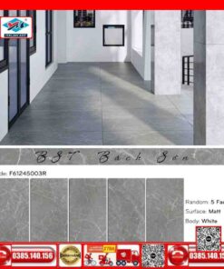 Gạch 60x120 Ý Mỹ Maximus F61245003R