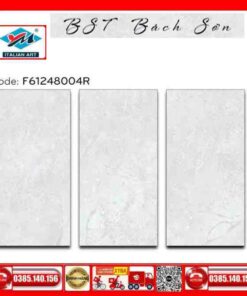 Gạch 60x120 Ý Mỹ Maximus F61248004R