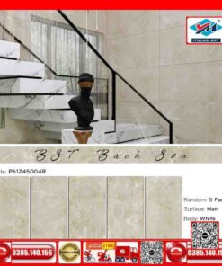 Gạch 60x120 Ý Mỹ Maximus P61245004R
