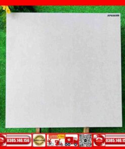 Gạch 60x60 Asean AP6069M đá mờ xám