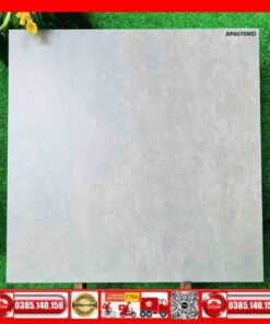 Gạch 60x60 Asean AP6070MD đá mờ xám