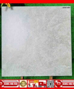 Gạch 60x60 Asean AP6072MD đá mờ xám
