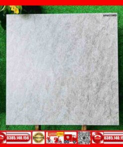 Gạch 60x60 Asean AP6073MD đá mờ xám