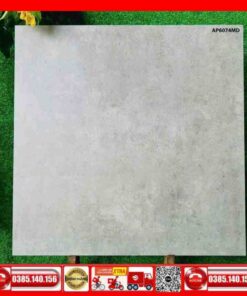 Gạch 60x60 Asean AP6074MD xám bê tông