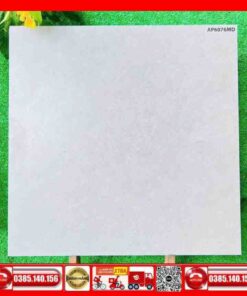 Gạch 60x60 Asean AP6076MD đá mờ xám