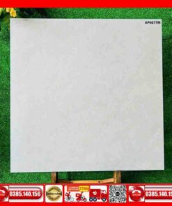Gạch 60x60 Asean AP6077M đá mờ xám
