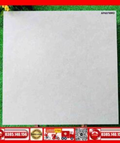 Gạch 60x60 Asean AP6078MD đá mờ xám