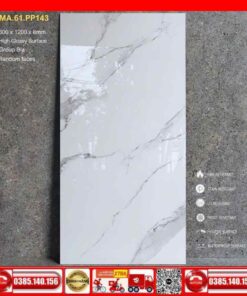 Gạch 60x120-Apodio-MA-61-PP143-vinceramic