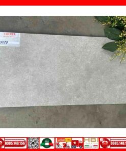 Gạch 30x60 Teaicera G63220 Granite xám nhám