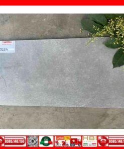 Gạch 30x60 Teaicera G63224 Granite xám nhám