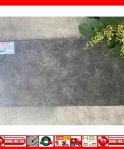 Gạch 30x60 Teaicera G63227 Granite nhám