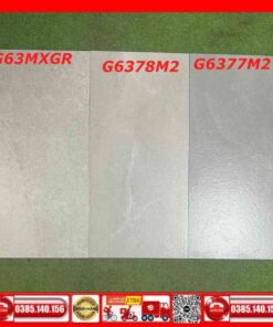 Gạch 30x60 Teaicera G63MXGR-G6378M2-G6377M2 Granite xám nhám