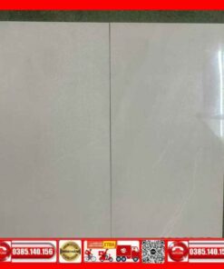 Gạch 30x60 Teaicera GP63068 Granite