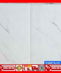 Gạch 30x60 Teaicera GP63865 Granite