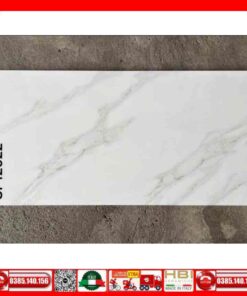 Gạch 60x120 Teaicera GP12022 Granite trắng xám