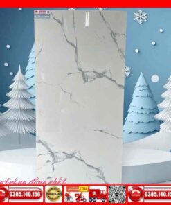 Gạch 60x120 Teaicera GP12724J Granite trắng xám Calacatta