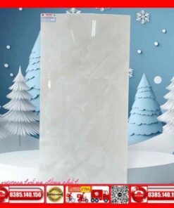 Gạch 60x120 Teaicera GP12730J Granite