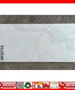Gạch 60x120 Teaicera GP12733 Granite