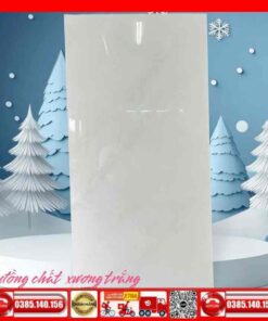 Gạch 60x120 Teaicera GP12735J Granite bóng