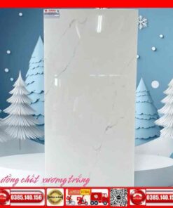 Gạch 60x120 Teaicera GP12745J Granite bóng