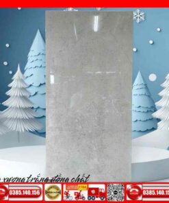 Gạch 60x120 Teaicera GP12848J Granite bóng