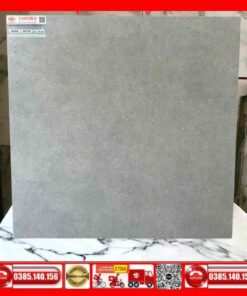 Gạch 60x60 Teaicera G68088 Granite