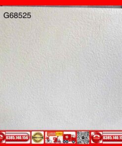Gạch 60x60 Teaicera G68525 Granite