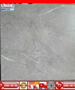 Gạch 60x60 Teaicera G68818 Granite