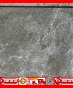 Gạch 30x30 Teaicera đồng chất G68849 nhám