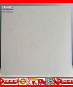 Gạch 60x60 Teaicera G68F35 Granite