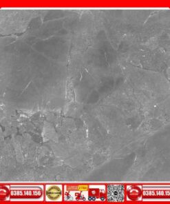 Gạch 60x60 Teaicera GP68018 Granite