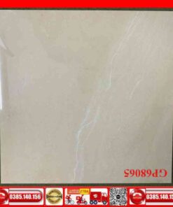 Gạch 60x60 Teaicera GP68065 Granite