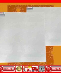 Gạch 60x60 Teaicera P67542N Granite-Gạch 80x80 Teaicera P87542N Granite-