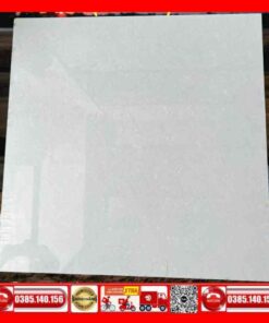Gạch 60x60 Teaicera P67702N Granite bóng kính