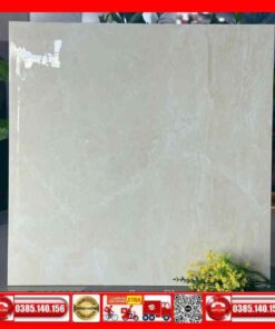 Gạch 80x80 Apodio AF10888038
