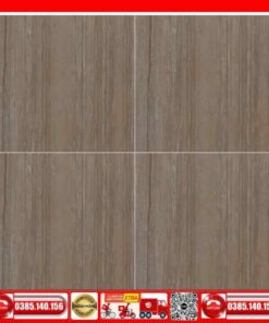 Gạch 100x100 Thắng Cường FIZINI-GVN101050 xám